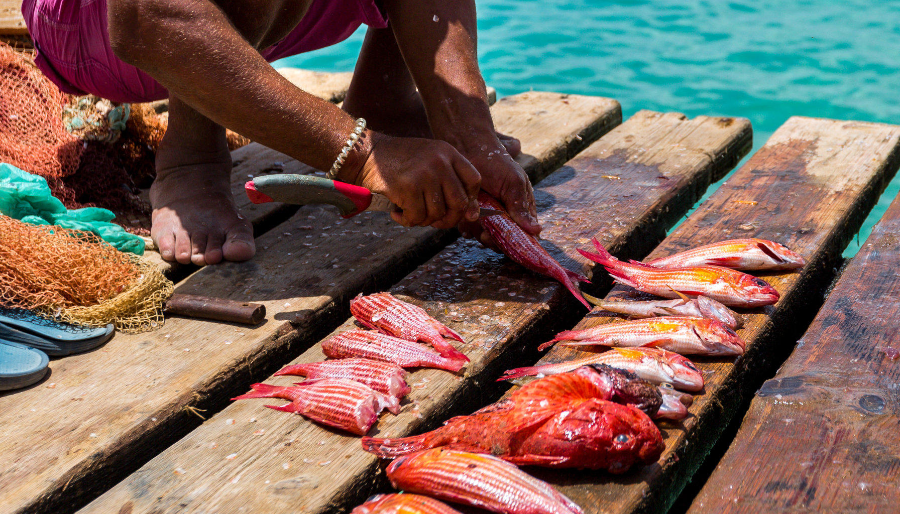 Esperienza gastronomica capoverdiana a Sal Island