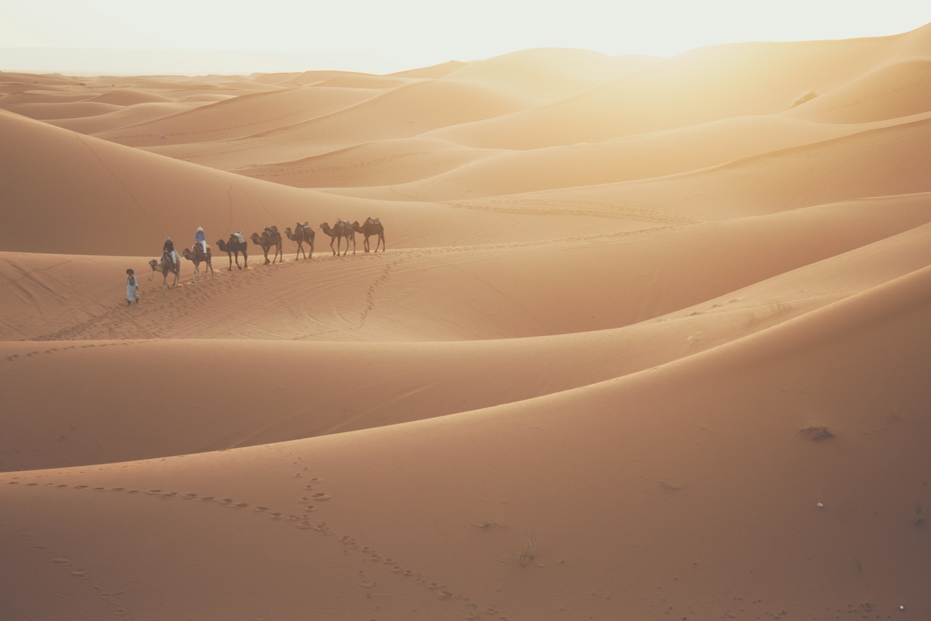 Camel Ride and Desert Excursion in Marrakesh, Morocco